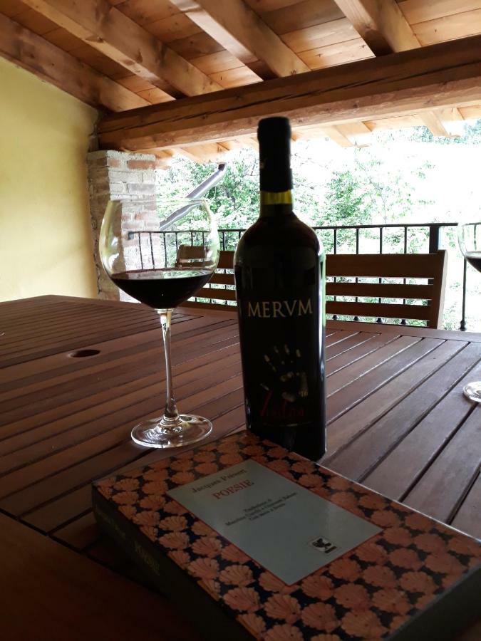 Agriturismo "Veritas" Bed & Wine Casaleggio Boiro エクステリア 写真