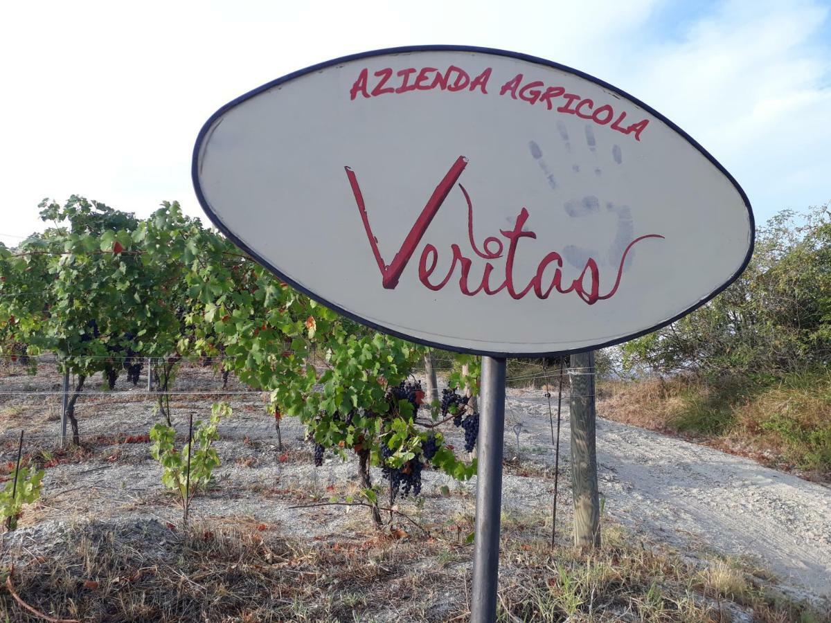 Agriturismo "Veritas" Bed & Wine Casaleggio Boiro エクステリア 写真